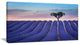 Lonely Trees Uphill on Sunset, Landscape Canvas Art Print, 32"x16"