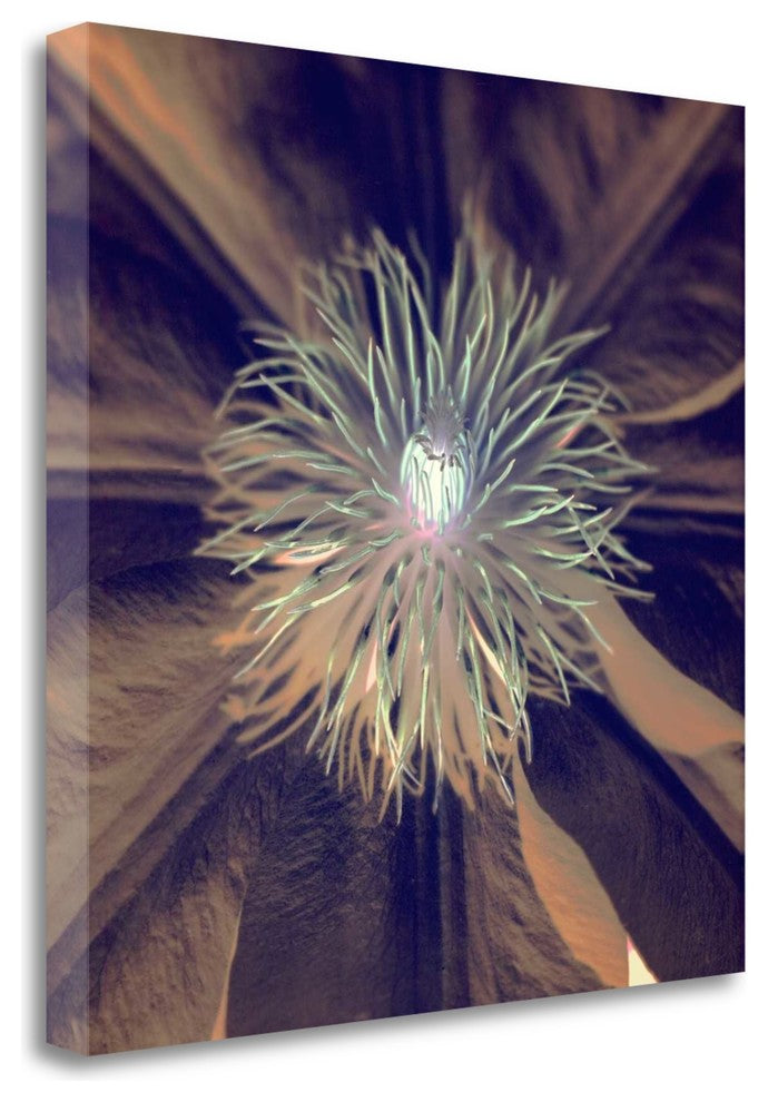 "Floral Color - 15" By Alan Blaustein, Giclee Print on Gallery Wrap Canvas