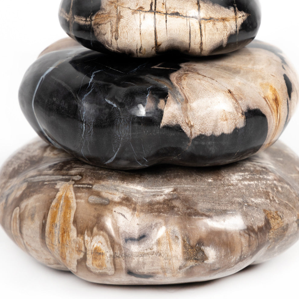 Petrified Wood Organic Sculpture-Dark