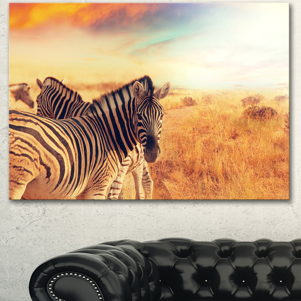 Zebras Herd in Field At Sunset, Extra Large African Canvas Art Print, 40"x30"