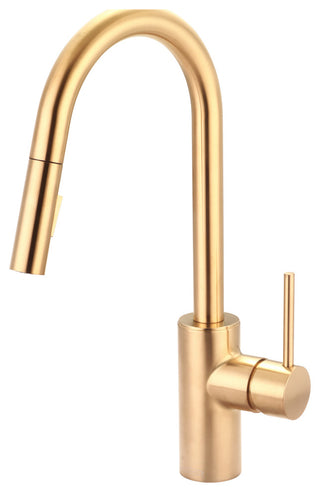 Motegi Single Handle Pull-Down Kitchen Faucet, Brushed Gold