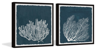 Tropical Corals Diptych, 2-Piece Set, 18x18 Panels