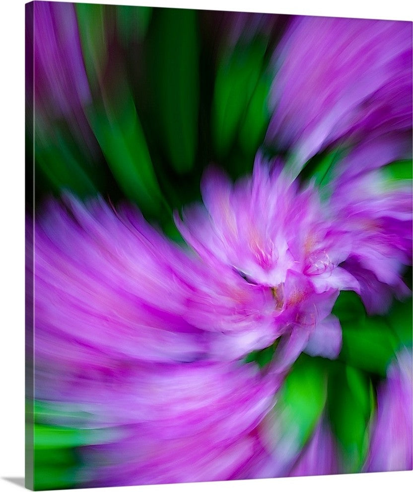 "Rhodie" Wrapped Canvas Art Print, 21"x24"x1.5"
