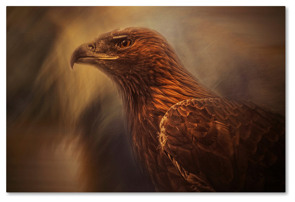 Desislava Ignatova 'Instincts Cage' Canvas Art, 19x12