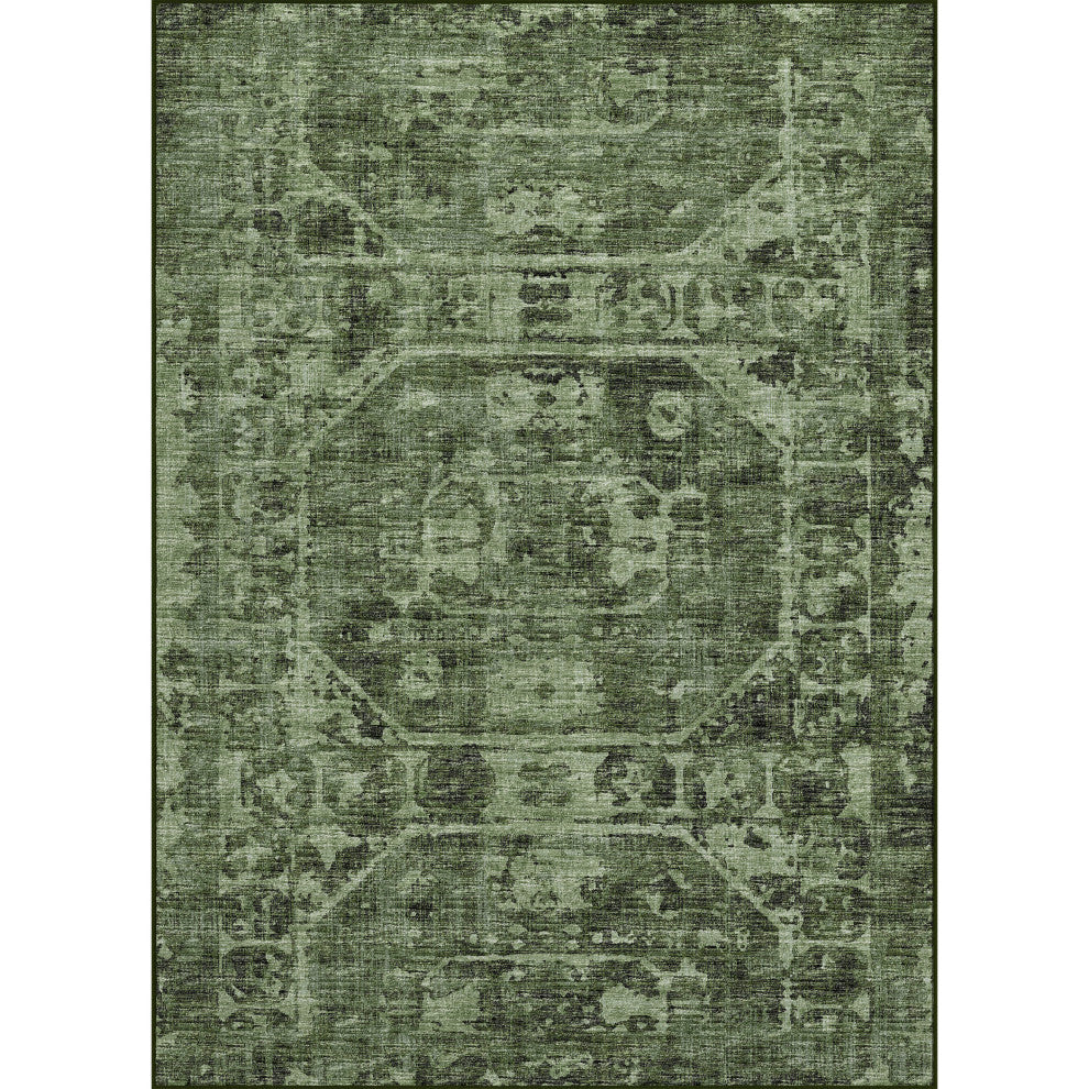 Aberdeen AB2 Cactus 5' x 7'6" Rug