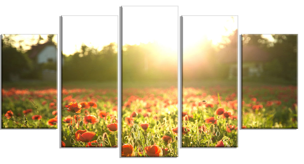 Poppy Field under Bright Sunlight, Landscape Canvas Print, 60"x32", 5 Panels