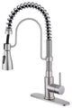 Single Handle Kitchen Sink Faucet Pull-Down Sprayer, 360 Swivel, 3 Functions, Brushed Nickel