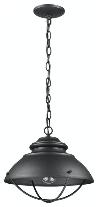 1 Light Convertible Aluminum Hanging Ceiling Light in Black