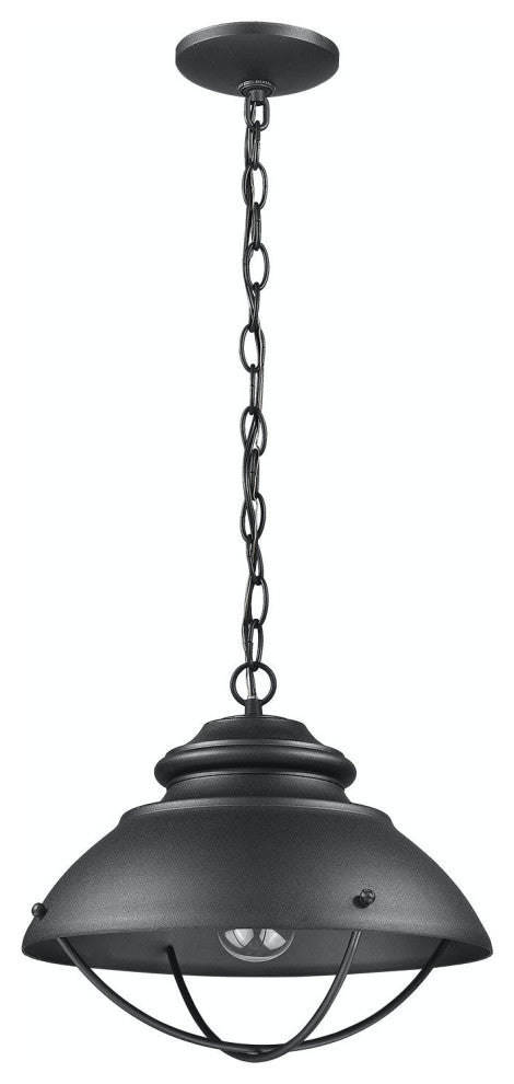 1 Light Convertible Aluminum Hanging Ceiling Light in Black