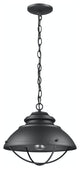1 Light Convertible Aluminum Hanging Ceiling Light in Black