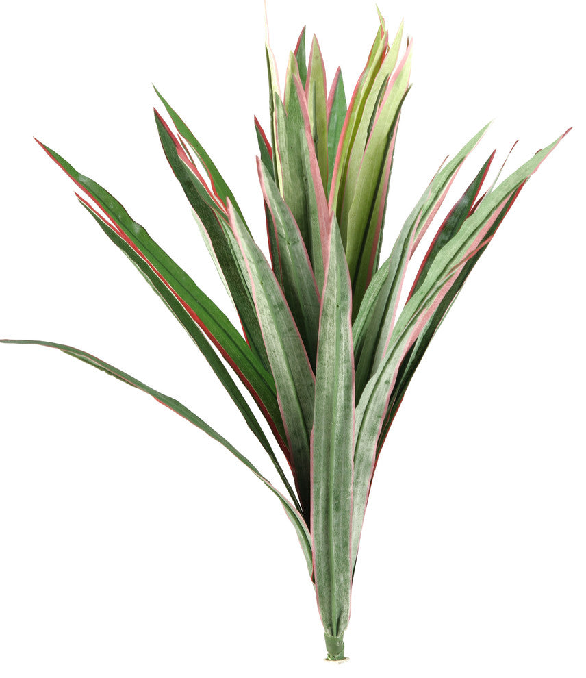 21" Dracaena and Yucca Plant, Set of 3