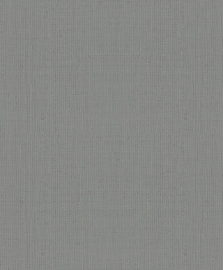 Plain Textured Wallpaper Featuring Painted Wall, 30449