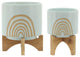 2-Piece Set Arch Planter With Stand, Mint