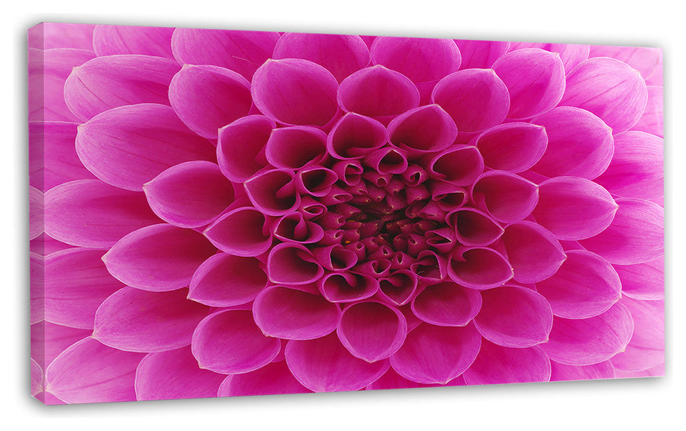Dark Pink Abstract Flower Petals, Floral Canvas Art Print, 32"x16"