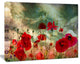 Wild Red Poppy Flowers in Sky, Floral Canvas Art Print, 40"x30"