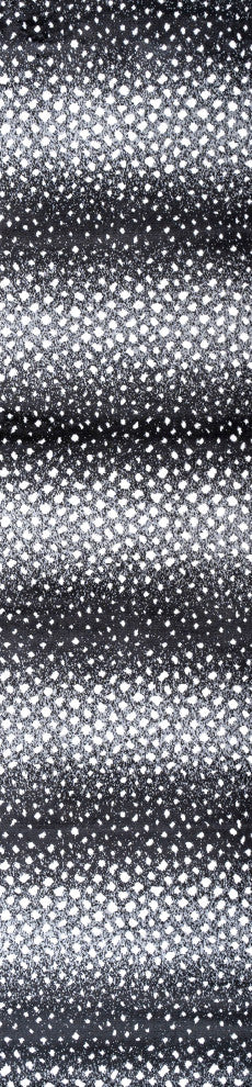 Antelope Modern Animal Black/Cream 2 ft. x 10 ft. Runner Rug