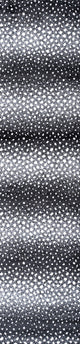Antelope Modern Animal Black/Cream 2 ft. x 10 ft. Runner Rug