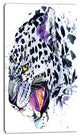Ferocious Snow Leopard Face, Animal Canvas Art Print, 16"x32"