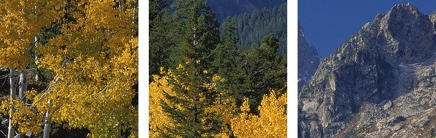 "Wyoming, Grand Teton National Park" Canvas Art, 20"x16"x1.25"