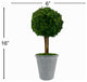 Preserved 16" Reindeer Moss Ball Potted Topiary Tree Green, Pair