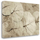 "Garden Bloom - 23" By Alan Blaustein, Giclee Print on Gallery Wrap Canvas
