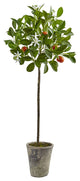 38'' Potted Orange Tree
