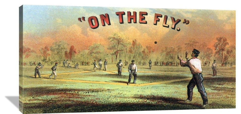 On The Fly, 48"X24"