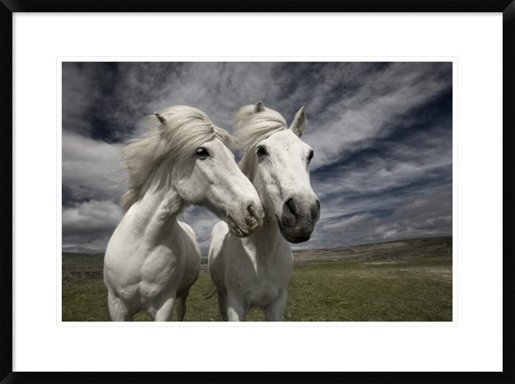 "Inseparables" Framed Digital Print by Bragi Ingibergsson, 32x24"