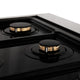 ZLINE 36" Dual Fuel Range, DuraSnow With Gold Accents RASZ-SN-36-G