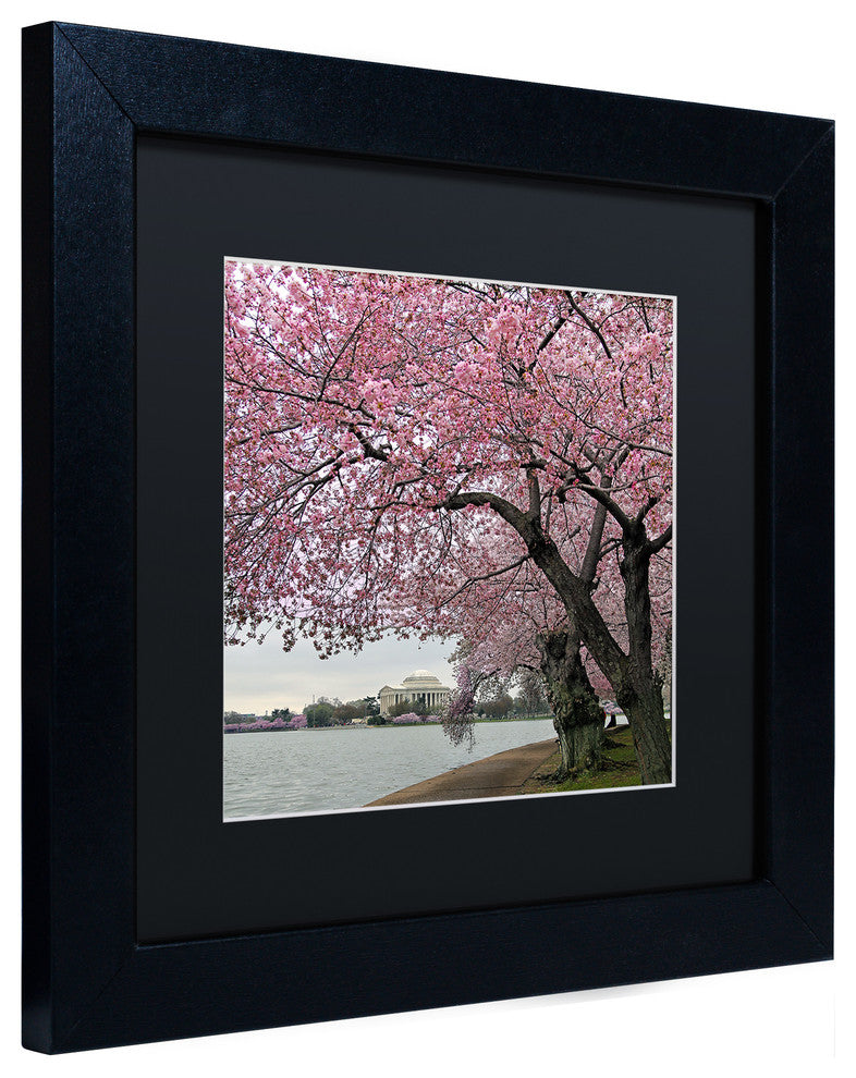 CATeyes 'Tidal Basin Blossoms' Matted Framed Art, 11x11