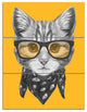 Funny Cat with Glasses and Scarf, Animal Triptych Canvas Print, 28x36, 3 Panels