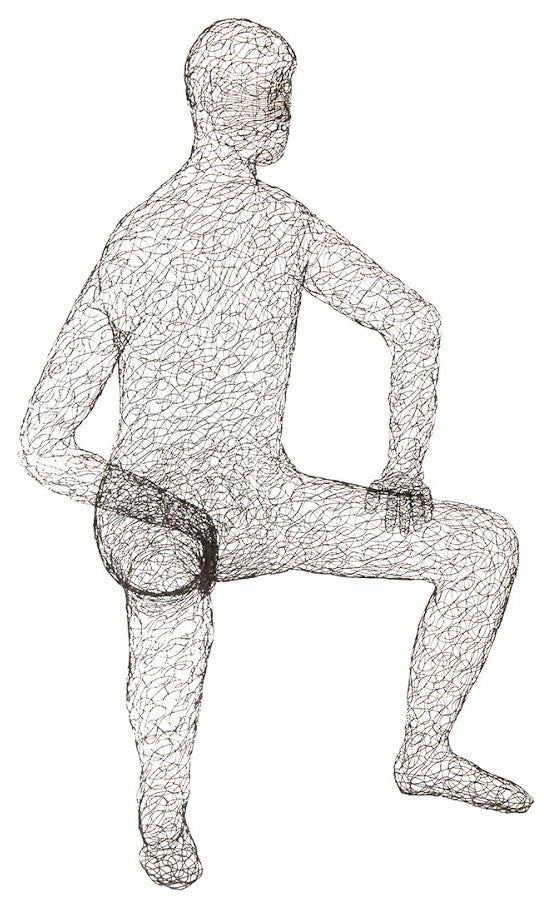 Crazy Wire Lounging Male