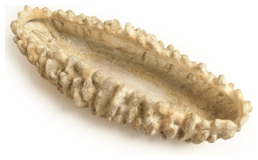 Coral Shell Bowl