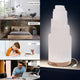 Selenite Crystal Lamp,  Includes USB Cable & Wooden Base LED Light, 7 to 9"