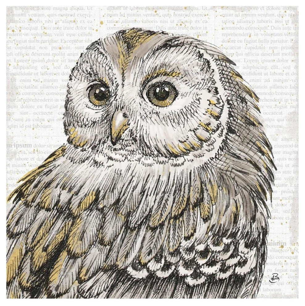 "Beautiful Owls I" Digital Paper Print by Daphne Brissonnet, 26"x26"
