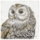 "Beautiful Owls I" Digital Paper Print by Daphne Brissonnet, 26"x26"