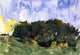 Charles Webster Hawthorne The Poplar Grove, 18"x27" Wall Decal