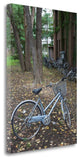 "Japan Bicycle - 11" By Alan Blaustein, Giclee Print on Gallery Wrap Canvas