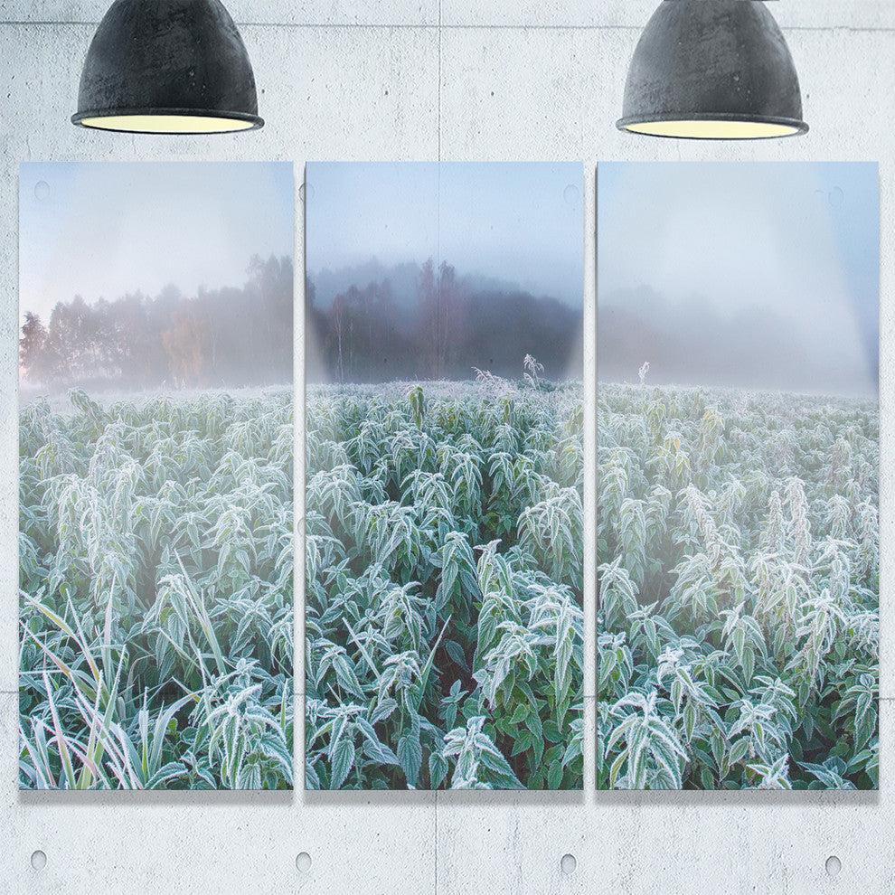 "Frozen Hemp Field in Autumn Morning" Metal Wall Art, 3 Panels, 36"x28"