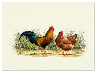 The Macneil Studio 'Cockerel and Hen Copy' Canvas Art, 47"x35"