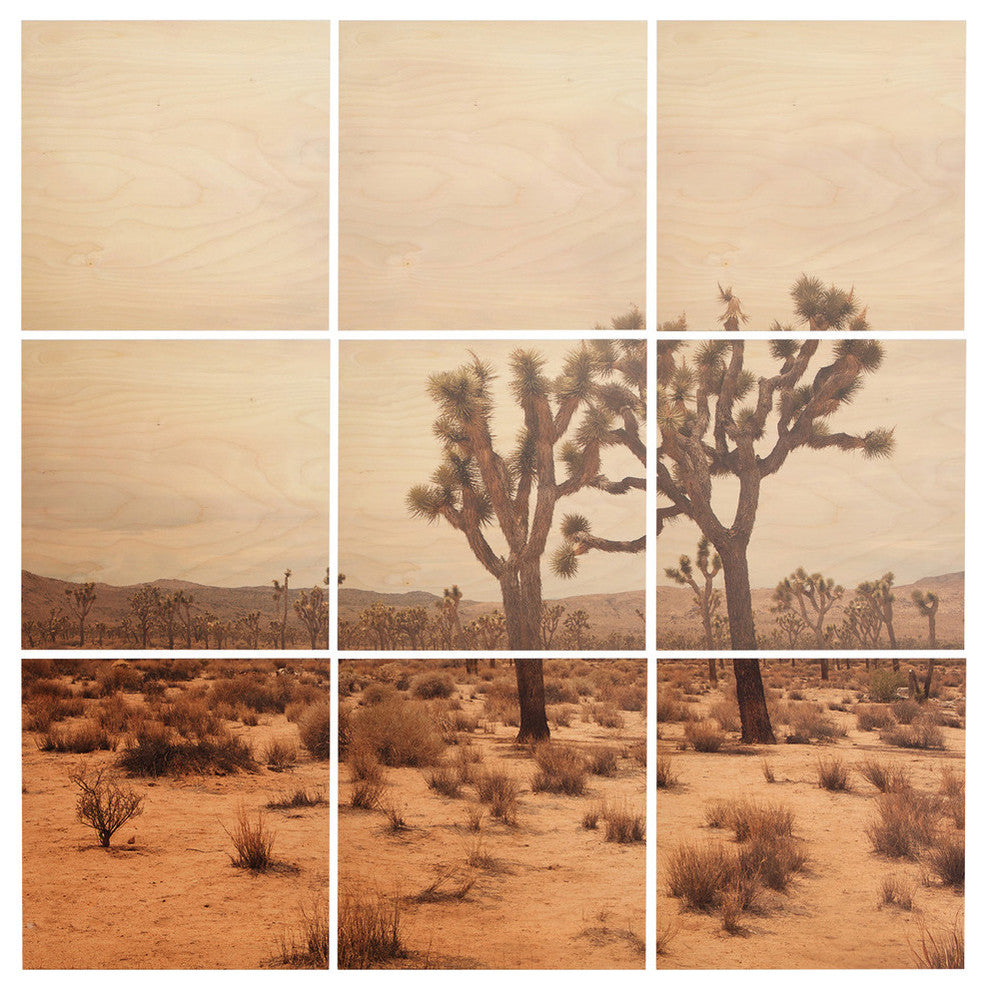 Deny Designs Catherine Mcdonald California Joshua Trees Wood Wall Mural, 3'x3'