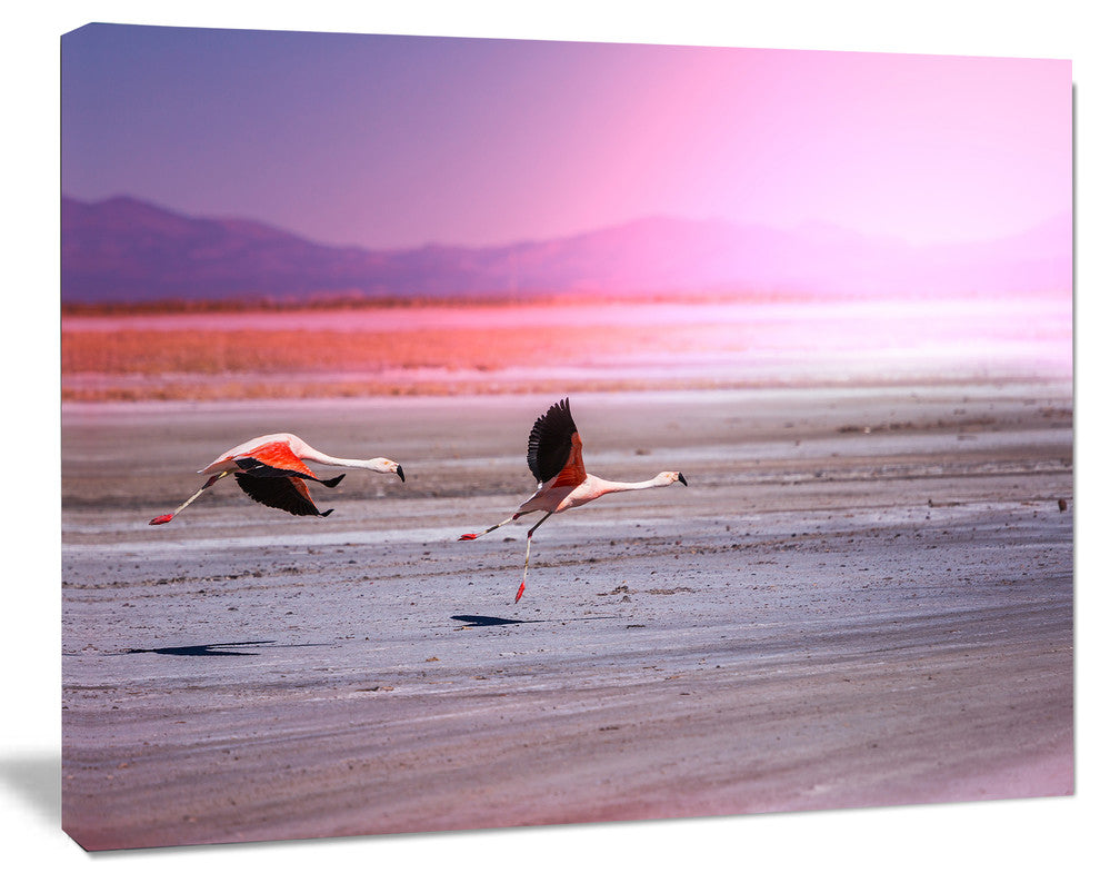 Flying Pair of Cute Flamingos, Animal Canvas Art Print, 40"x30"