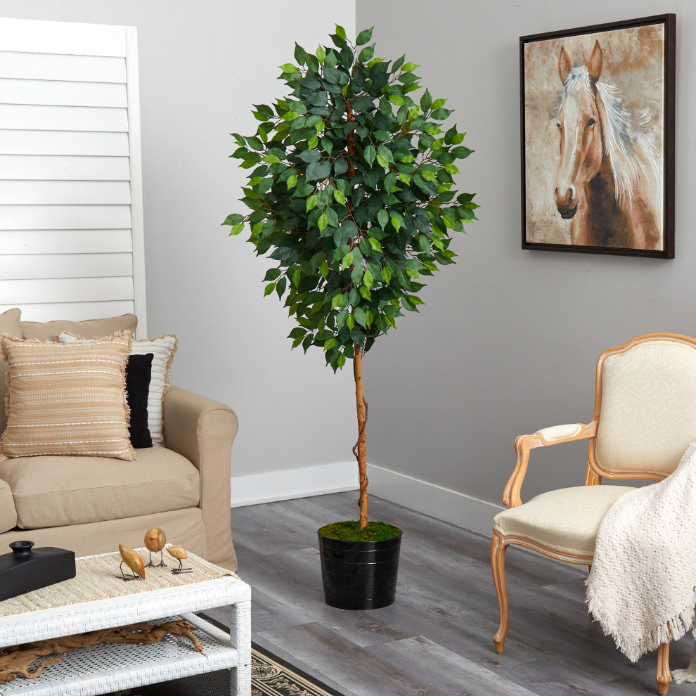 74" Ficus Artificial tree, Black Tin Planter
