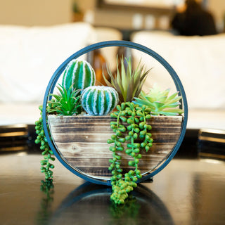 11" Round Wood + Metal Wall Succ mix