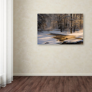 Robin Eriksson 'The First Light' Canvas Art, 12x19