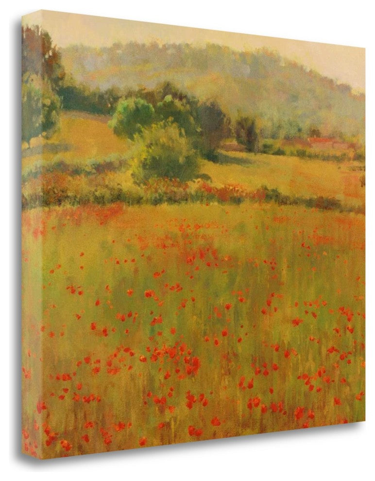 "Amapolas III" By Alex Hook Krioutchkov, Giclee Print on Gallery Wrap Canvas
