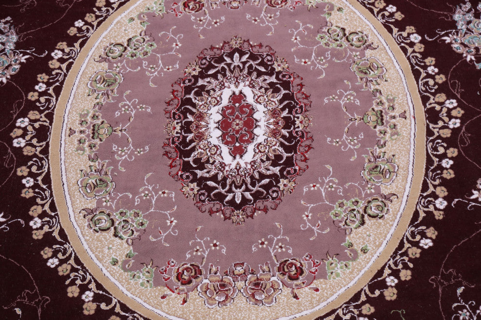 Traditional Floral Victorian Style Aubusson Turkish Oriental Area Rug 10x13