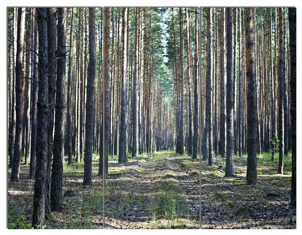 Forest Road in Thick Woods, Modern Forest Triptych Canvas Art, 36x28, 3 Panels