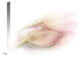 "Touching" Stretched Canvas Giclee by Stefan Eisele, 22x15"