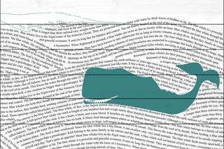 "Print Whale" Painting Print on White Wood